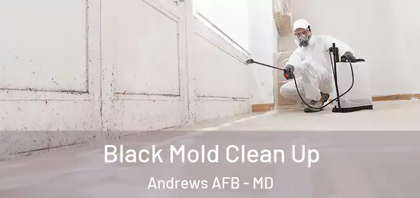  Black Mold Clean Up Andrews AFB - MD
