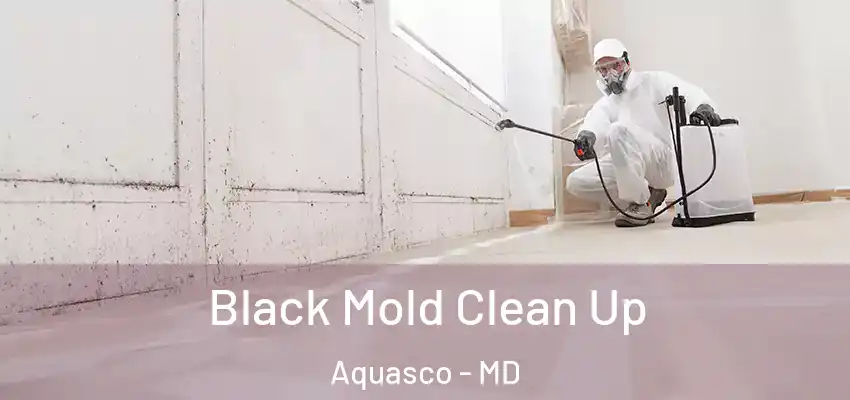  Black Mold Clean Up Aquasco - MD