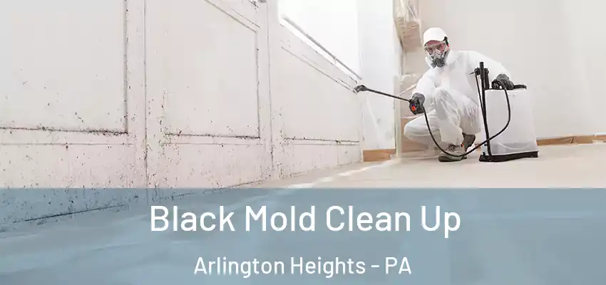 Black Mold Clean Up Arlington Heights - PA