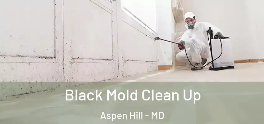  Black Mold Clean Up Aspen Hill - MD