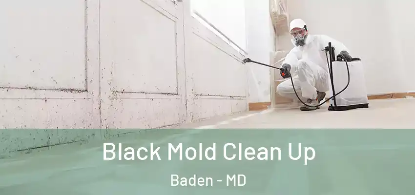 Black Mold Clean Up Baden - MD