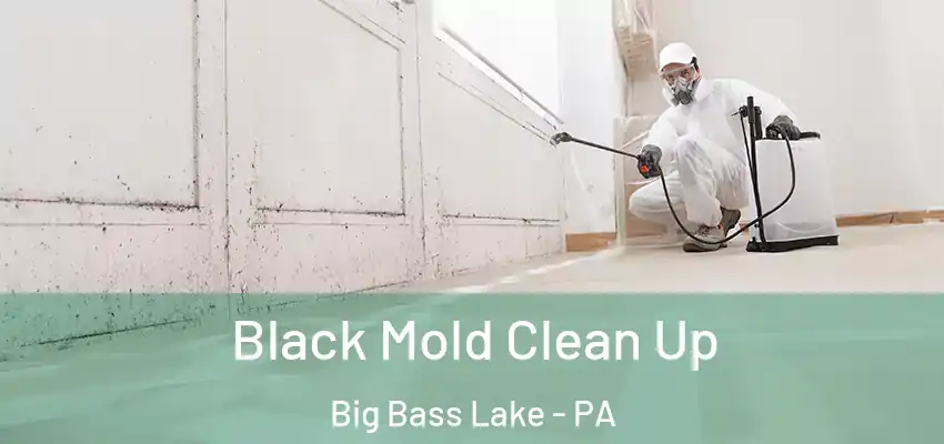  Black Mold Clean Up Big Bass Lake - PA