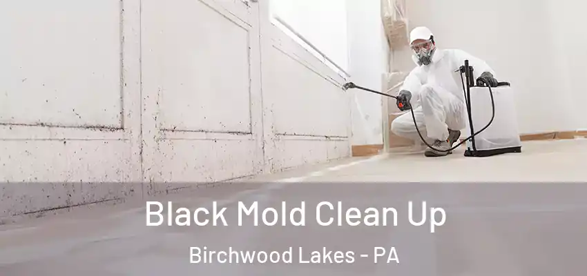  Black Mold Clean Up Birchwood Lakes - PA