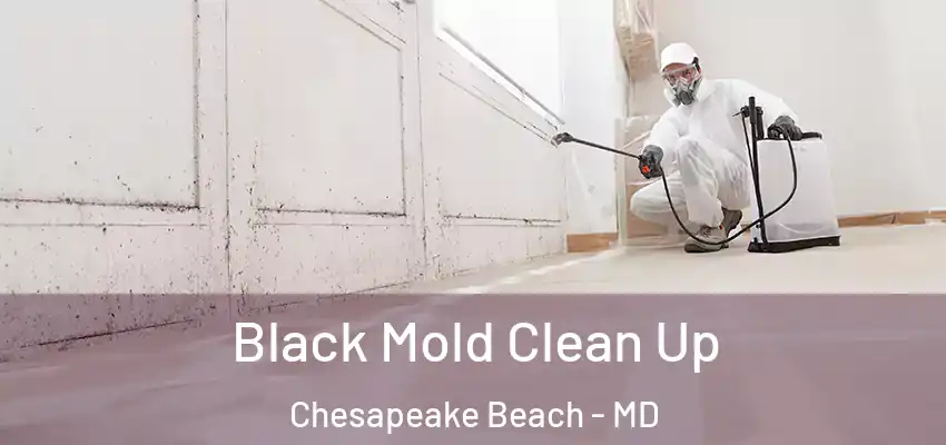  Black Mold Clean Up Chesapeake Beach - MD