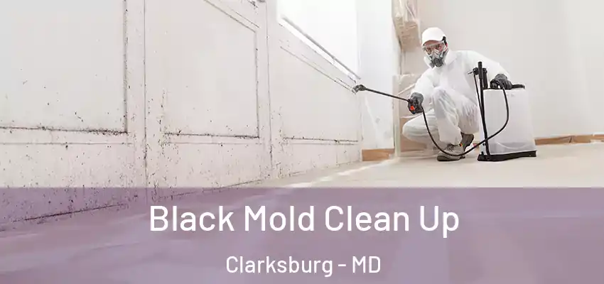 Black Mold Clean Up Clarksburg - MD