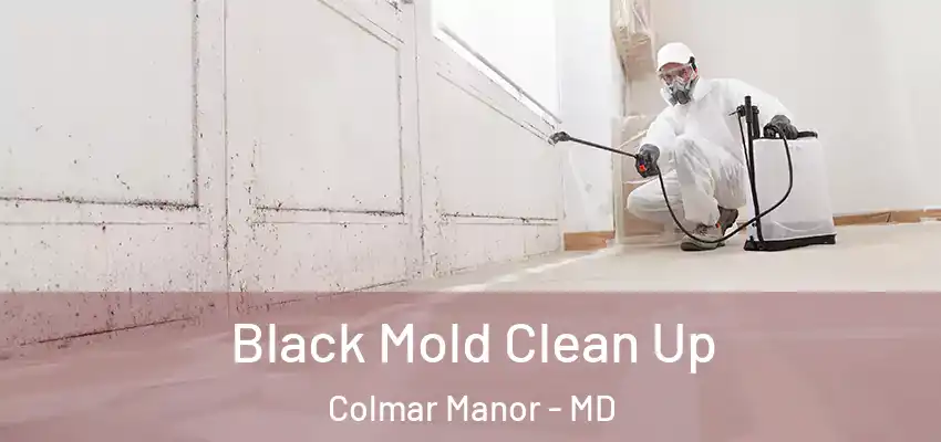  Black Mold Clean Up Colmar Manor - MD
