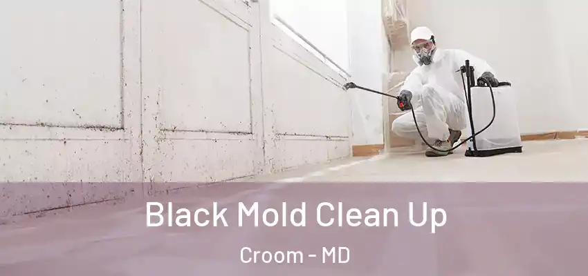  Black Mold Clean Up Croom - MD