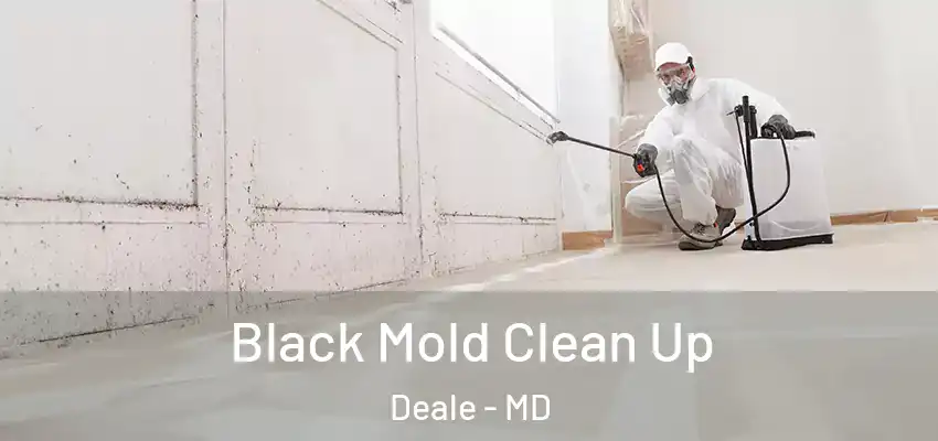 Black Mold Clean Up Deale - MD