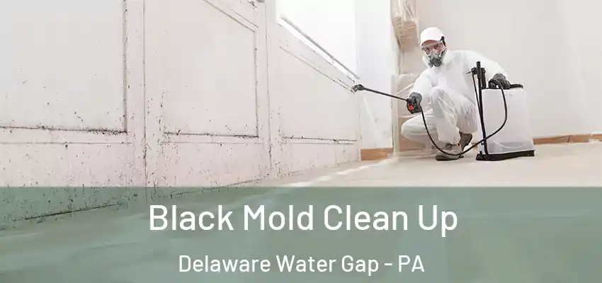 Black Mold Clean Up Delaware Water Gap - PA