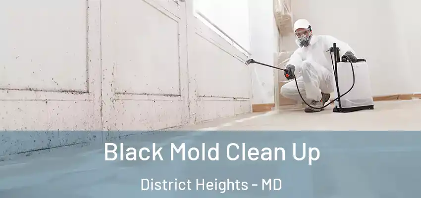 Black Mold Clean Up District Heights - MD