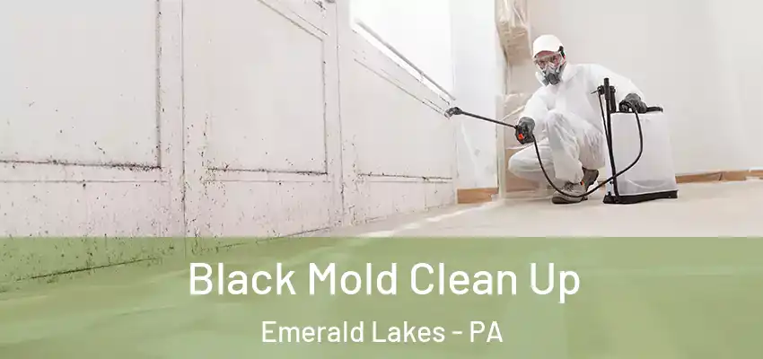 Black Mold Clean Up Emerald Lakes - PA