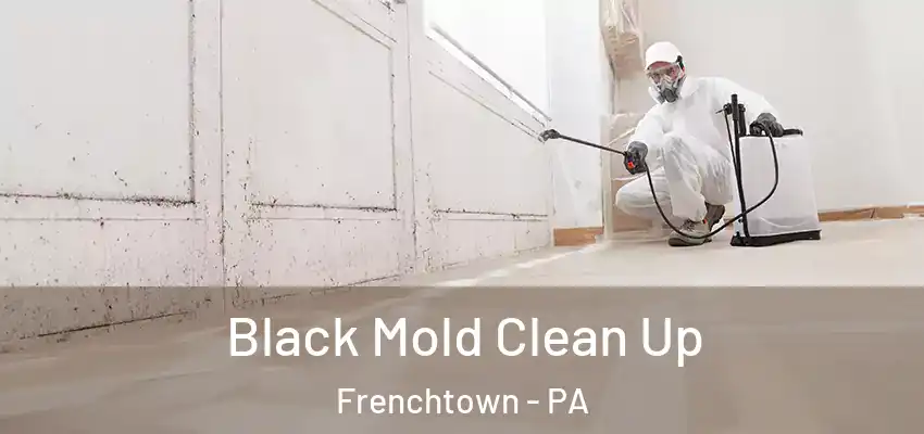 Black Mold Clean Up Frenchtown - PA