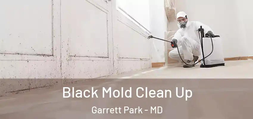 Black Mold Clean Up Garrett Park - MD