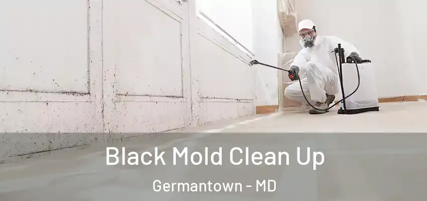 Black Mold Clean Up Germantown - MD