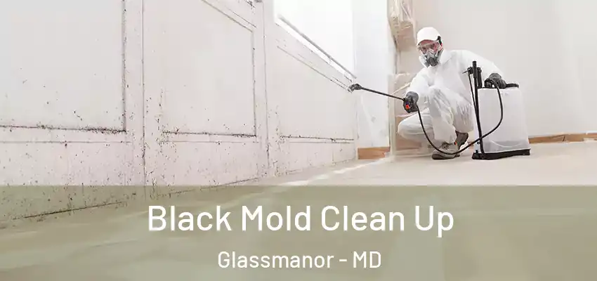 Black Mold Clean Up Glassmanor - MD