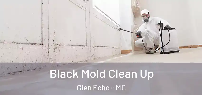 Black Mold Clean Up Glen Echo - MD