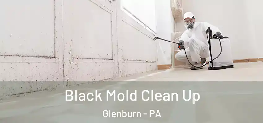 Black Mold Clean Up Glenburn - PA