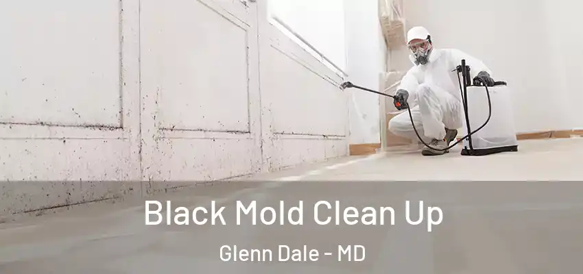 Black Mold Clean Up Glenn Dale - MD