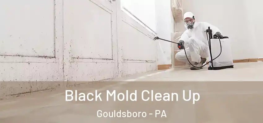 Black Mold Clean Up Gouldsboro - PA