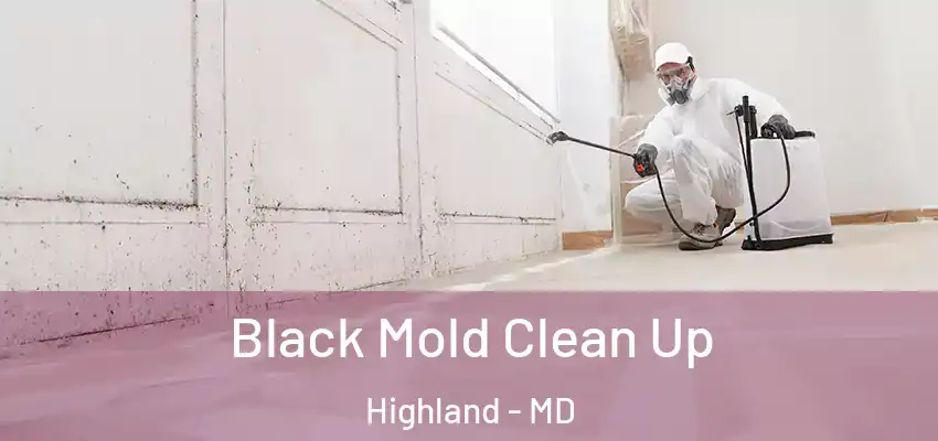  Black Mold Clean Up Highland - MD