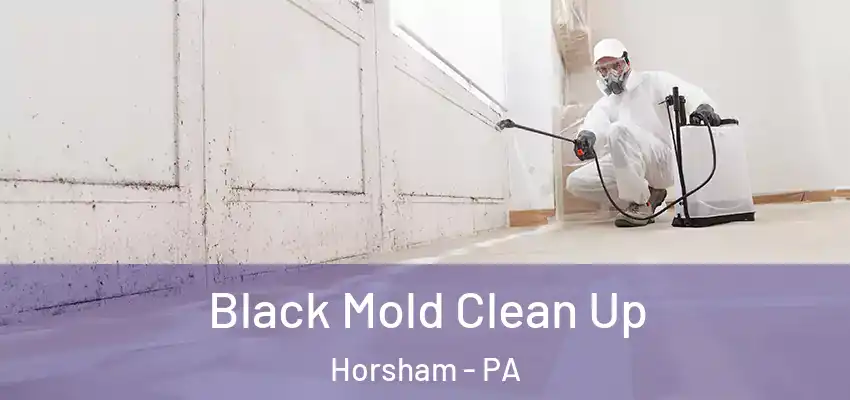 Black Mold Clean Up Horsham - PA