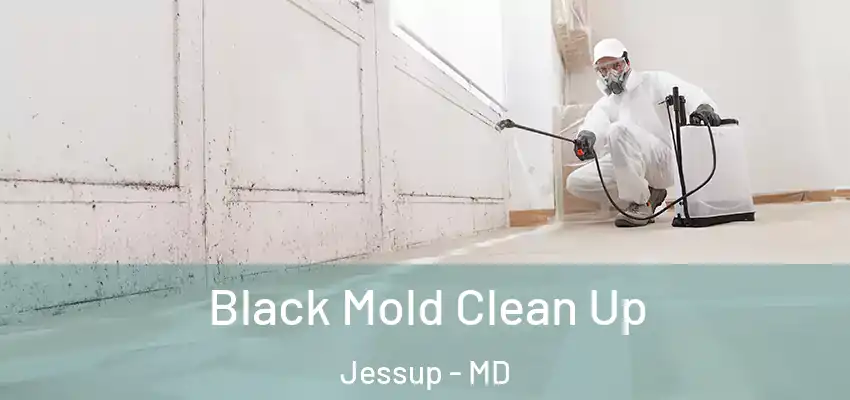 Black Mold Clean Up Jessup - MD