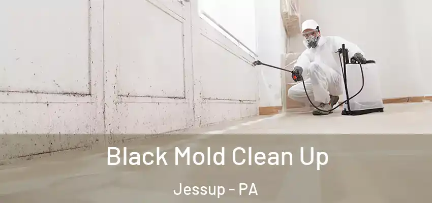 Black Mold Clean Up Jessup - PA