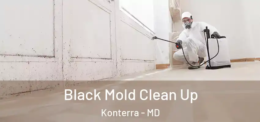 Black Mold Clean Up Konterra - MD