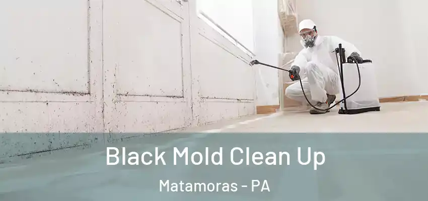 Black Mold Clean Up Matamoras - PA