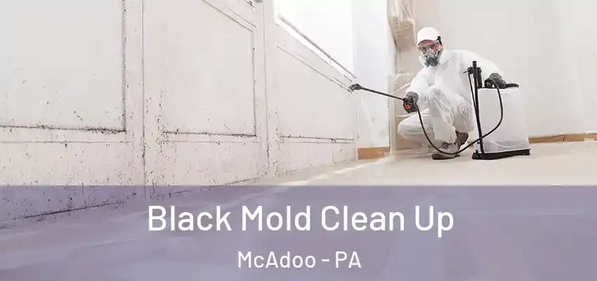 Black Mold Clean Up McAdoo - PA