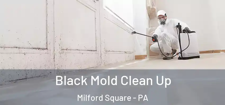 Black Mold Clean Up Milford Square - PA
