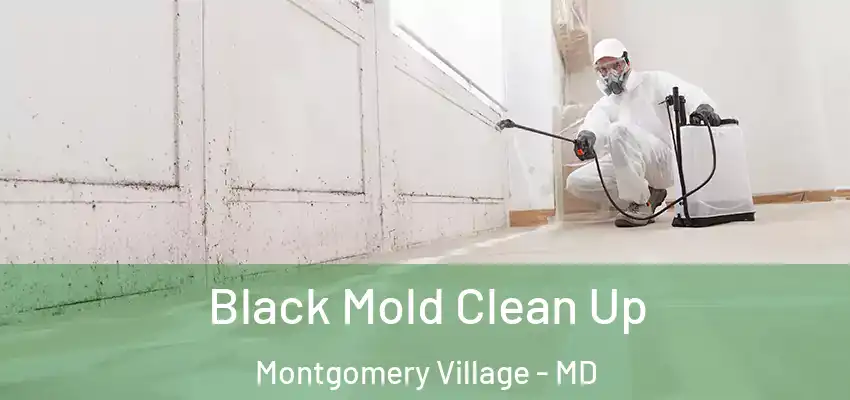 Black Mold Clean Up Montgomery Village - MD