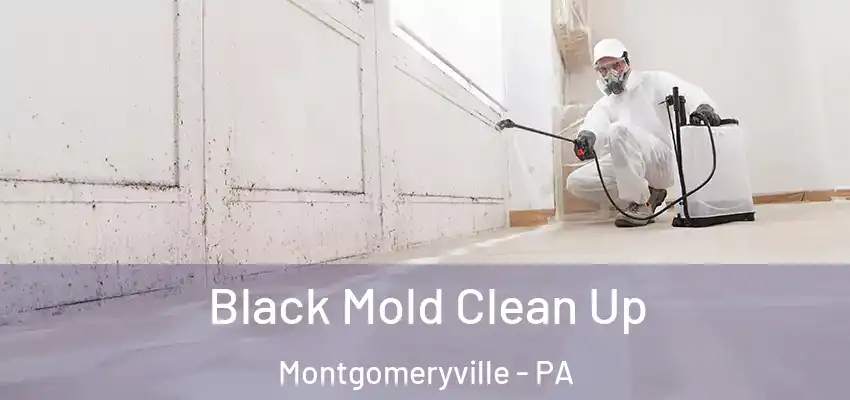 Black Mold Clean Up Montgomeryville - PA