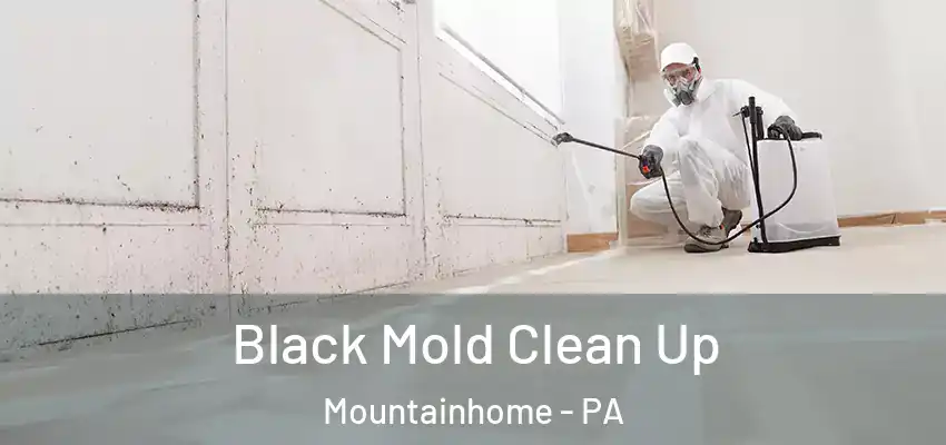 Black Mold Clean Up Mountainhome - PA