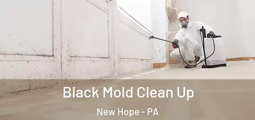 Black Mold Clean Up New Hope - PA