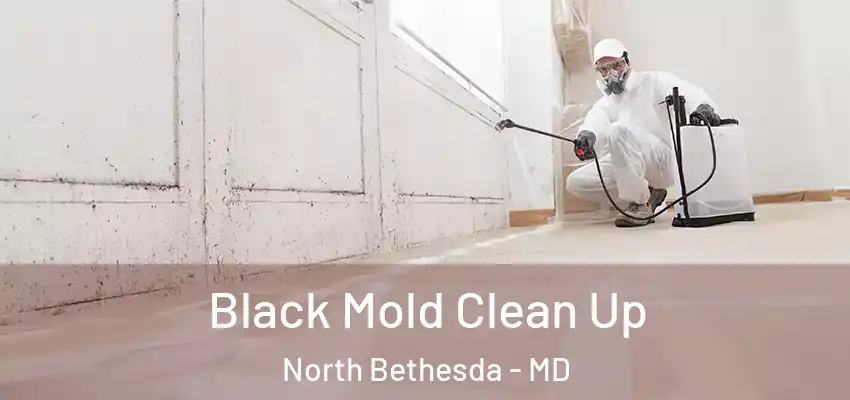 Black Mold Clean Up North Bethesda - MD