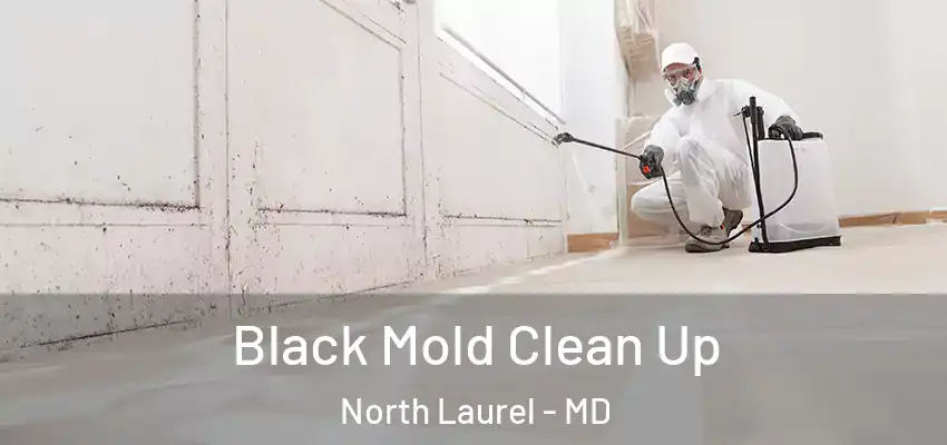  Black Mold Clean Up North Laurel - MD