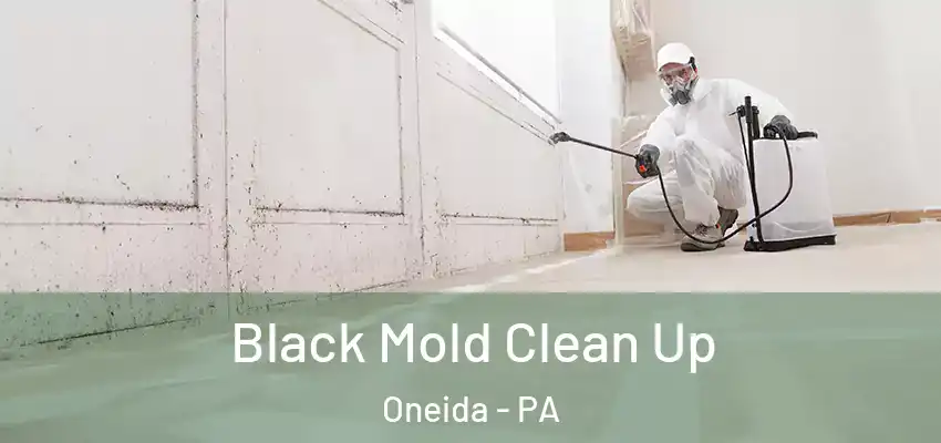 Black Mold Clean Up Oneida - PA