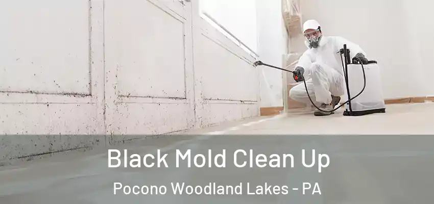 Black Mold Clean Up Pocono Woodland Lakes - PA
