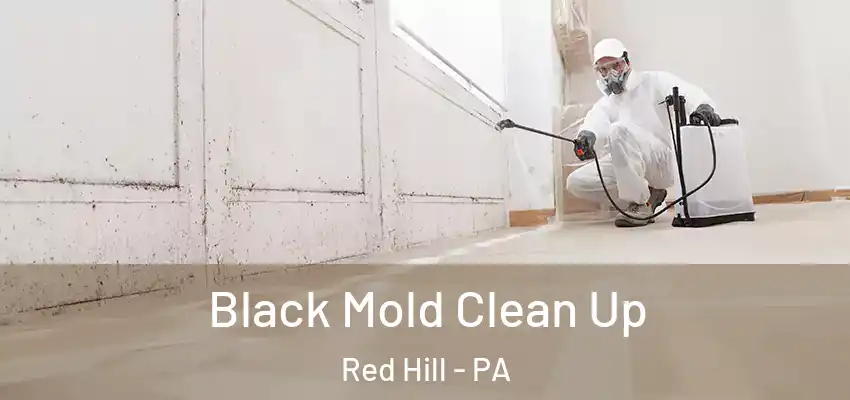 Black Mold Clean Up Red Hill - PA
