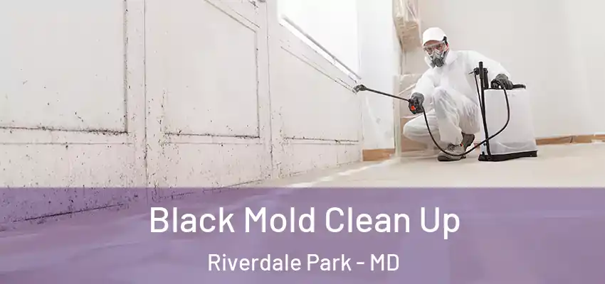  Black Mold Clean Up Riverdale Park - MD