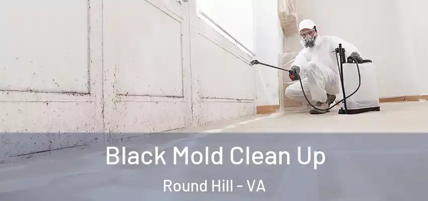 Black Mold Clean Up Round Hill - VA