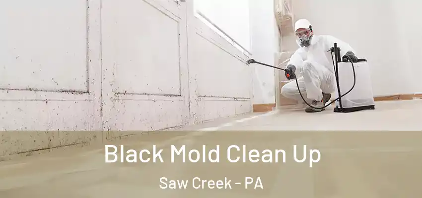 Black Mold Clean Up Saw Creek - PA