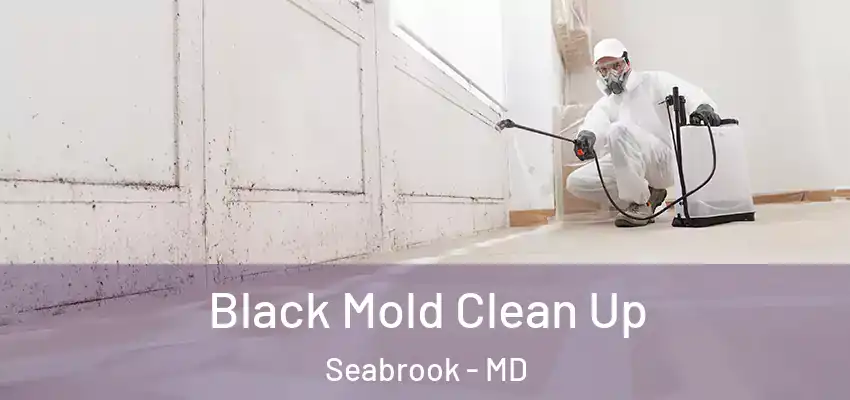  Black Mold Clean Up Seabrook - MD