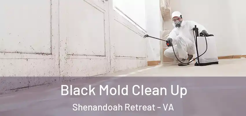 Black Mold Clean Up Shenandoah Retreat - VA