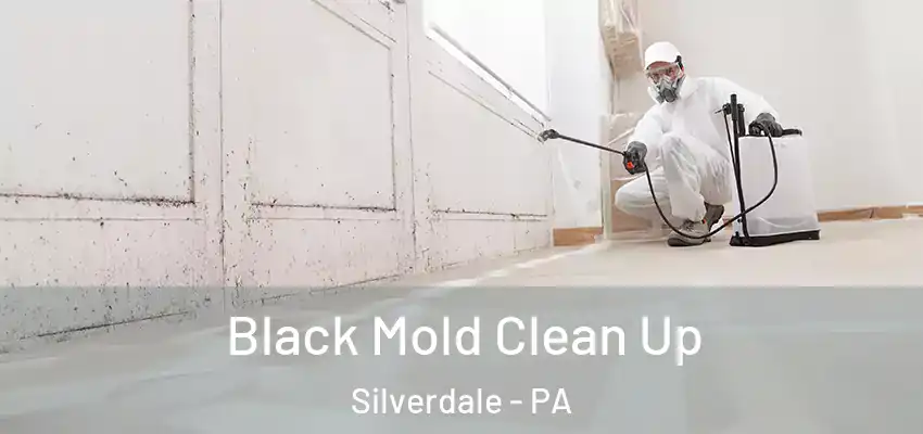 Black Mold Clean Up Silverdale - PA