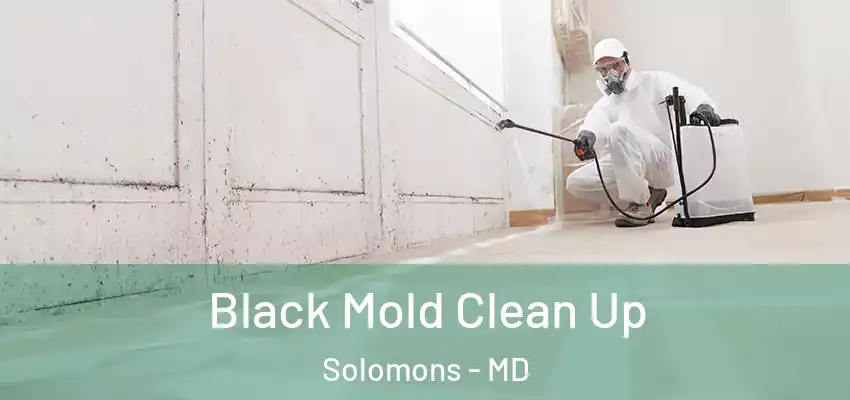 Black Mold Clean Up Solomons - MD