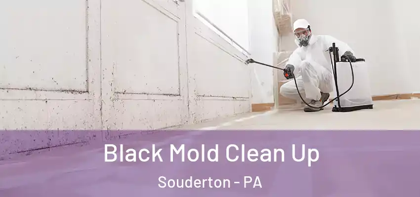 Black Mold Clean Up Souderton - PA