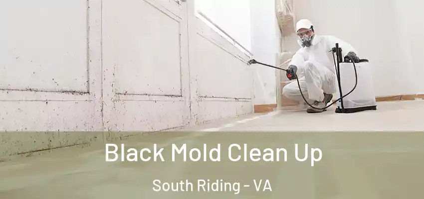  Black Mold Clean Up South Riding - VA