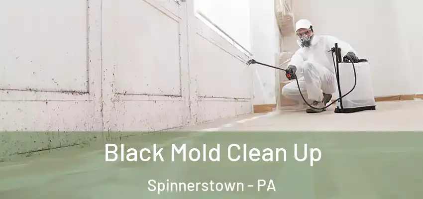 Black Mold Clean Up Spinnerstown - PA